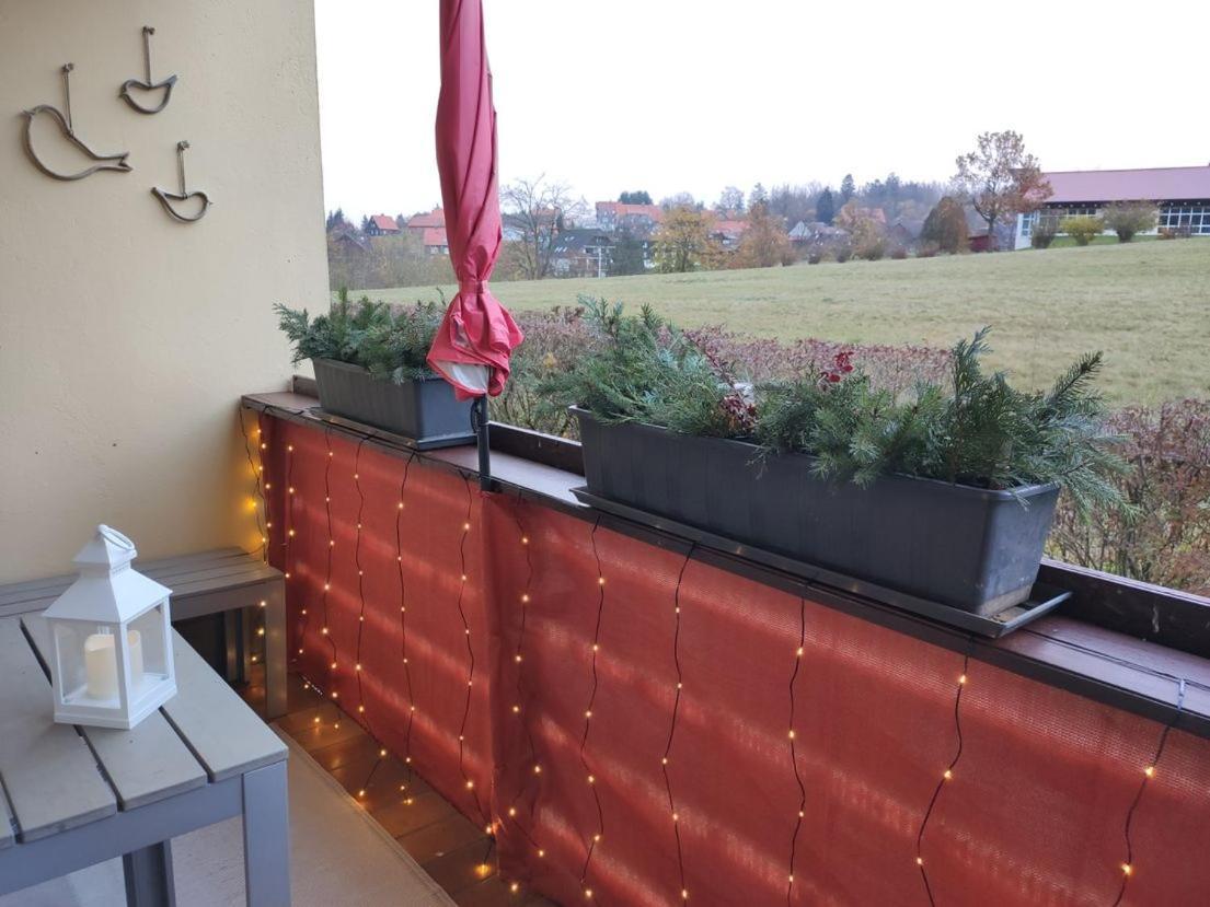 Ferienwohnung Harzluchs Mit Balkon, Netflix Und Sauna Im Haus Hohegeiss Exterior photo