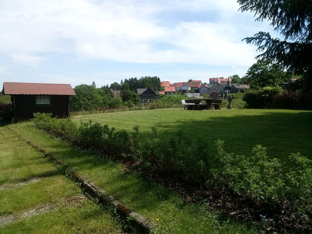 Ferienwohnung Harzluchs Mit Balkon, Netflix Und Sauna Im Haus Hohegeiss Room photo