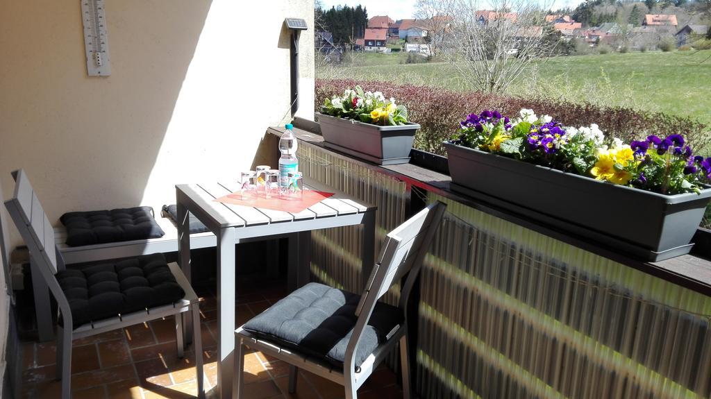Ferienwohnung Harzluchs Mit Balkon, Netflix Und Sauna Im Haus Hohegeiss Exterior photo