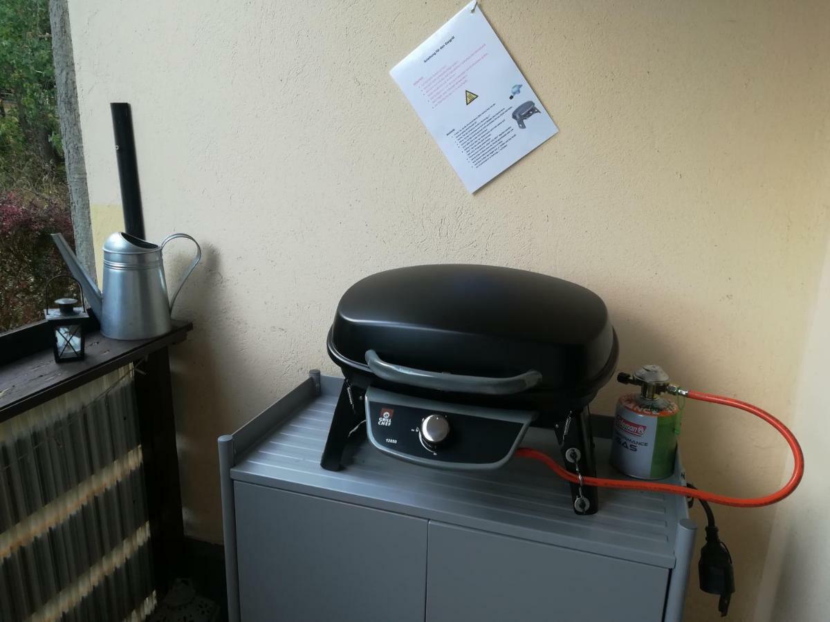 Ferienwohnung Harzluchs Mit Balkon, Netflix Und Sauna Im Haus Hohegeiss Exterior photo